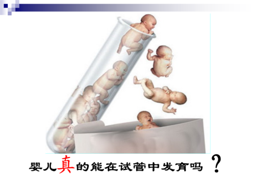 专题33胚胎移植公开课.pptx